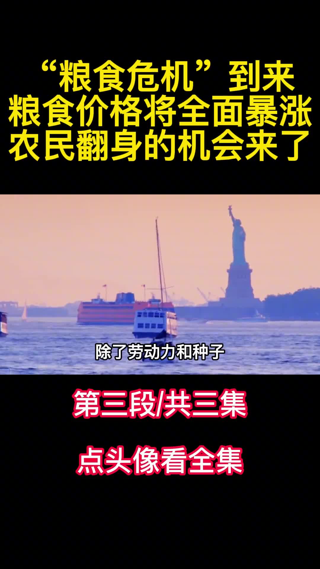 粮食危机到来粮食价格将全面暴涨农民翻身的机会来了3