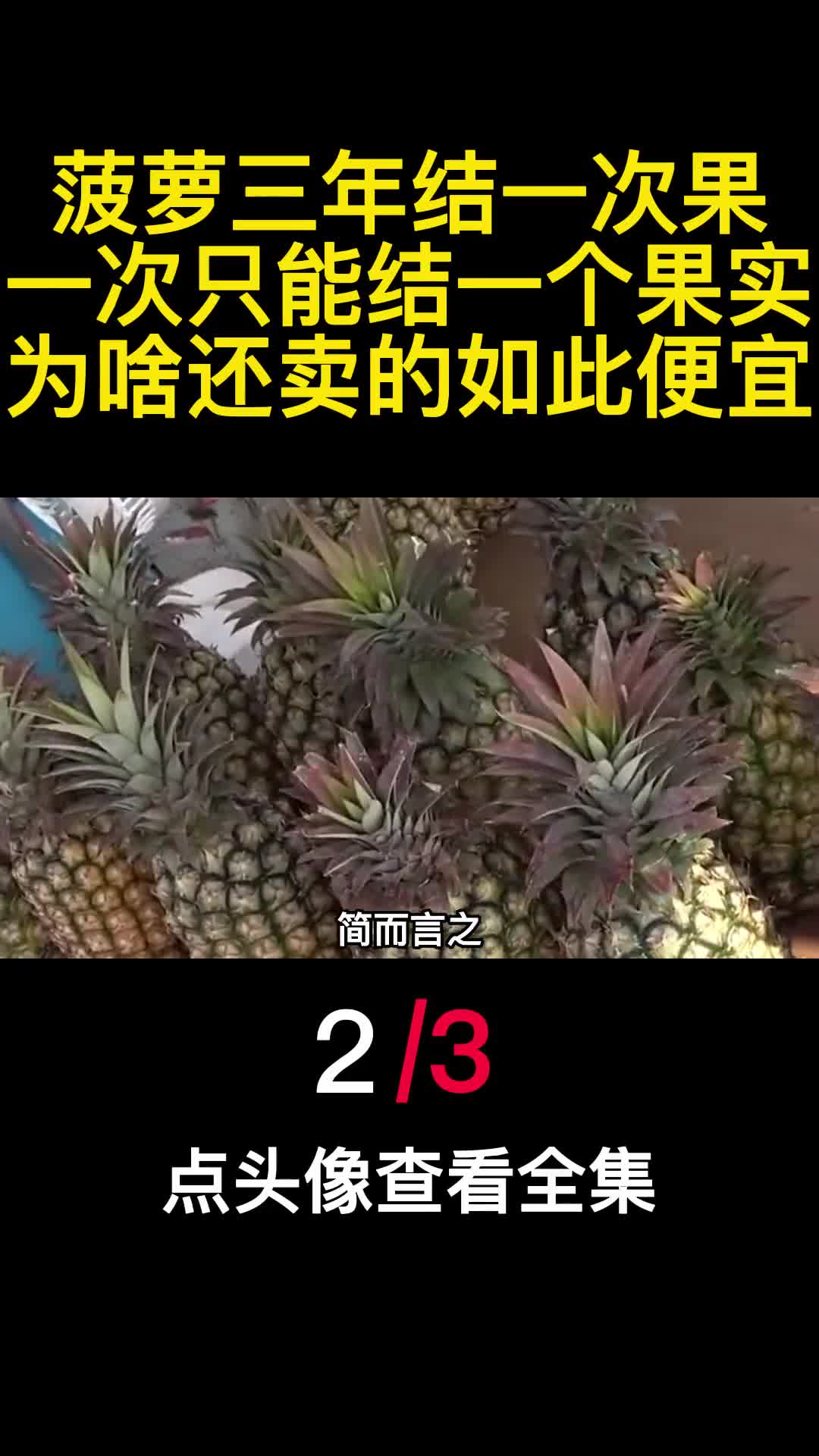 菠萝三年结一次果一次只能结一个果实为啥还卖的如此便宜2