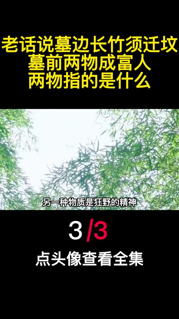 老话说墓边长竹须迁坟墓前两物成富人两物指的是什么3