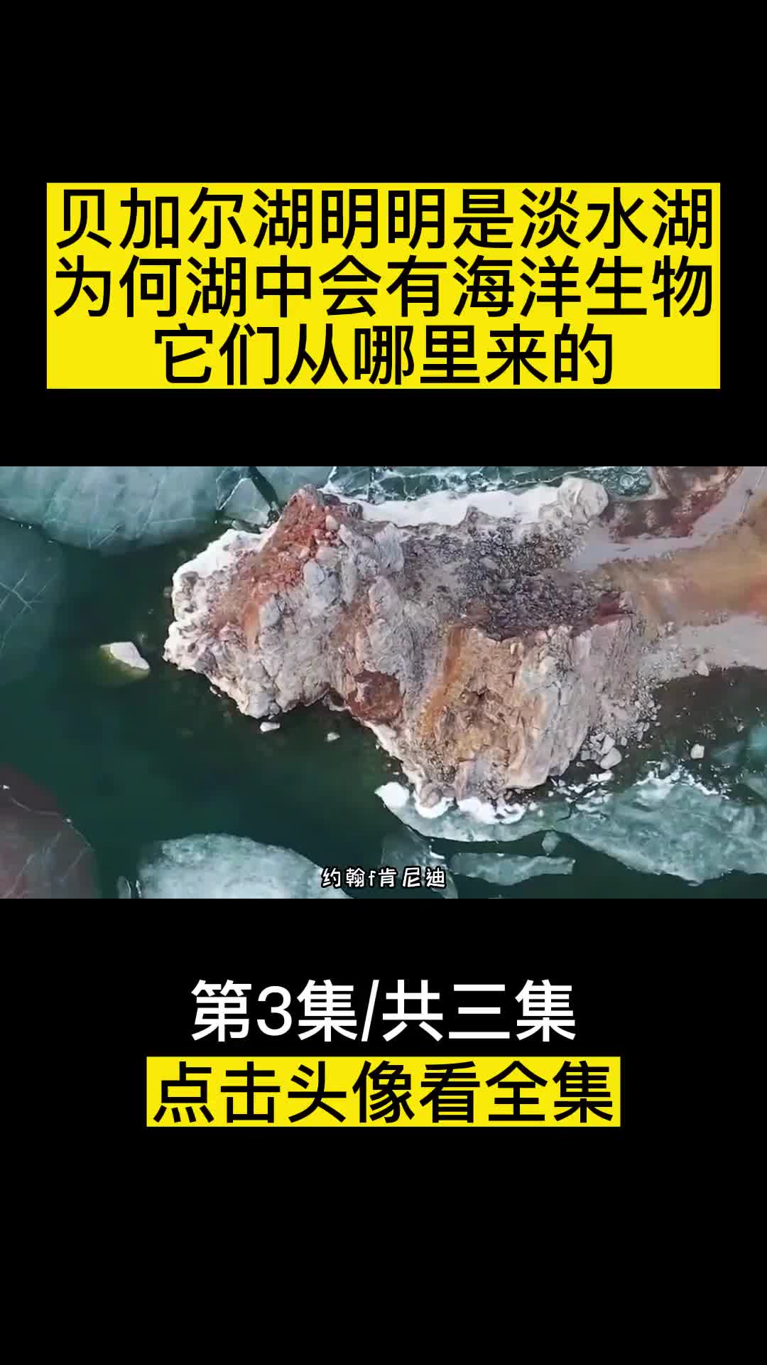 贝加尔湖明明是淡水湖为何湖中会有海洋生物它们从哪里来的
