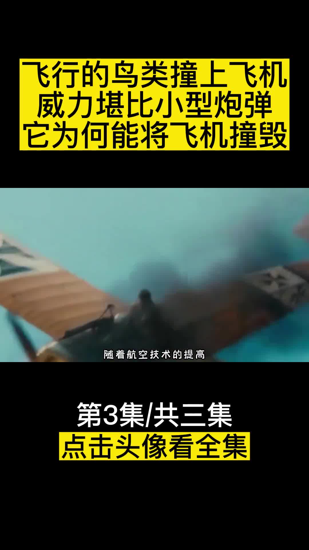 飞行的鸟类撞上飞机威力堪比小型炮弹它为何能将飞机撞毁