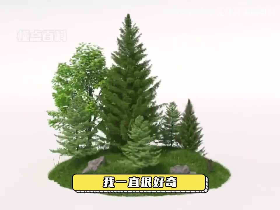 机械造纸的原理大树如何变成纸张