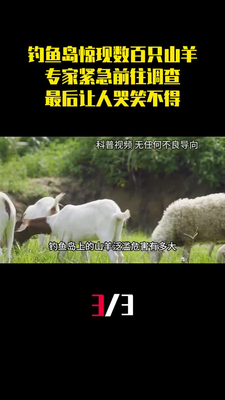 钓鱼岛惊现数百只山羊专家紧急前往调查最后让人哭笑不得3