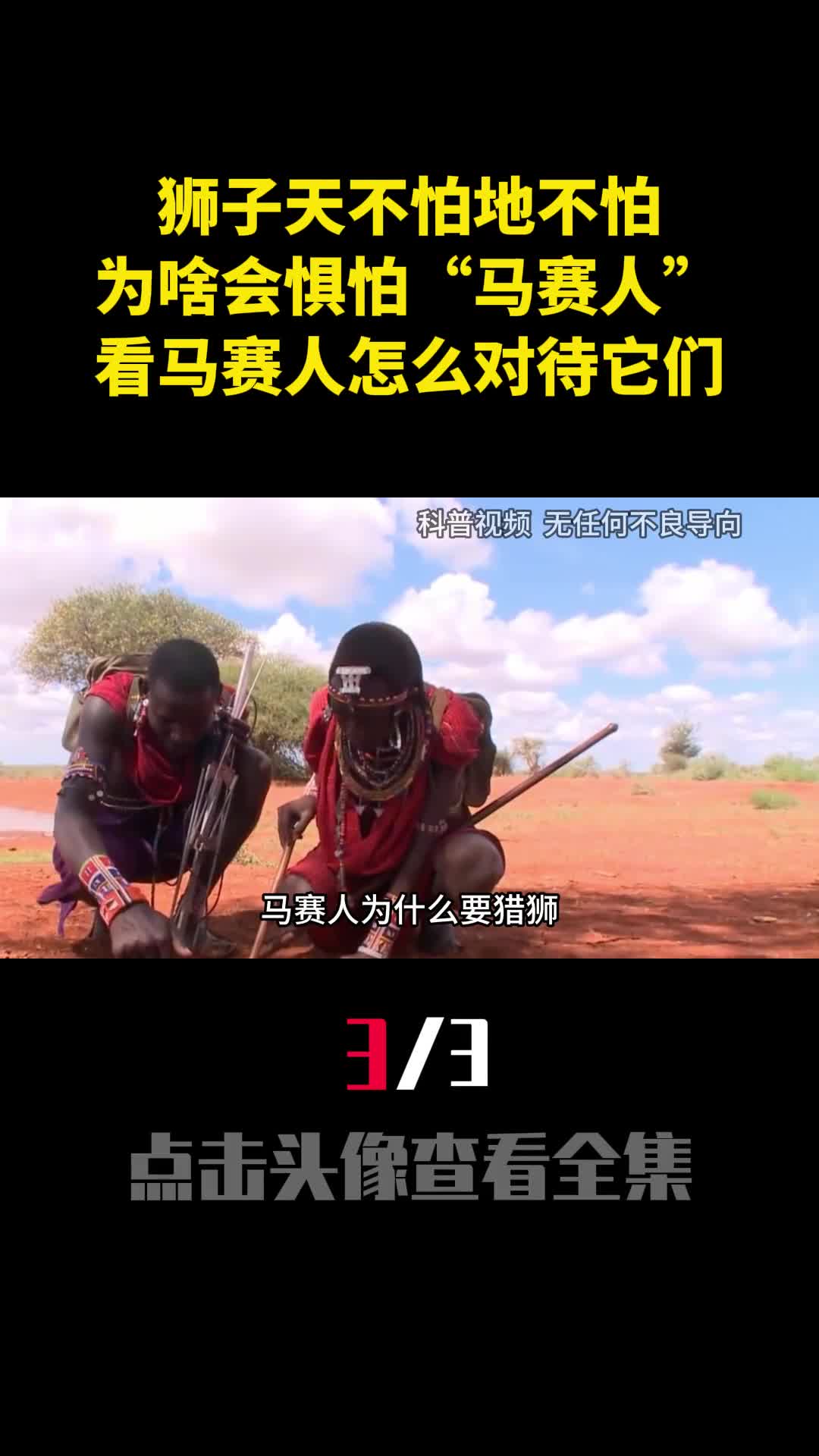 狮子天不怕地不怕为啥会惧怕马赛人看马赛人怎么对待它们3