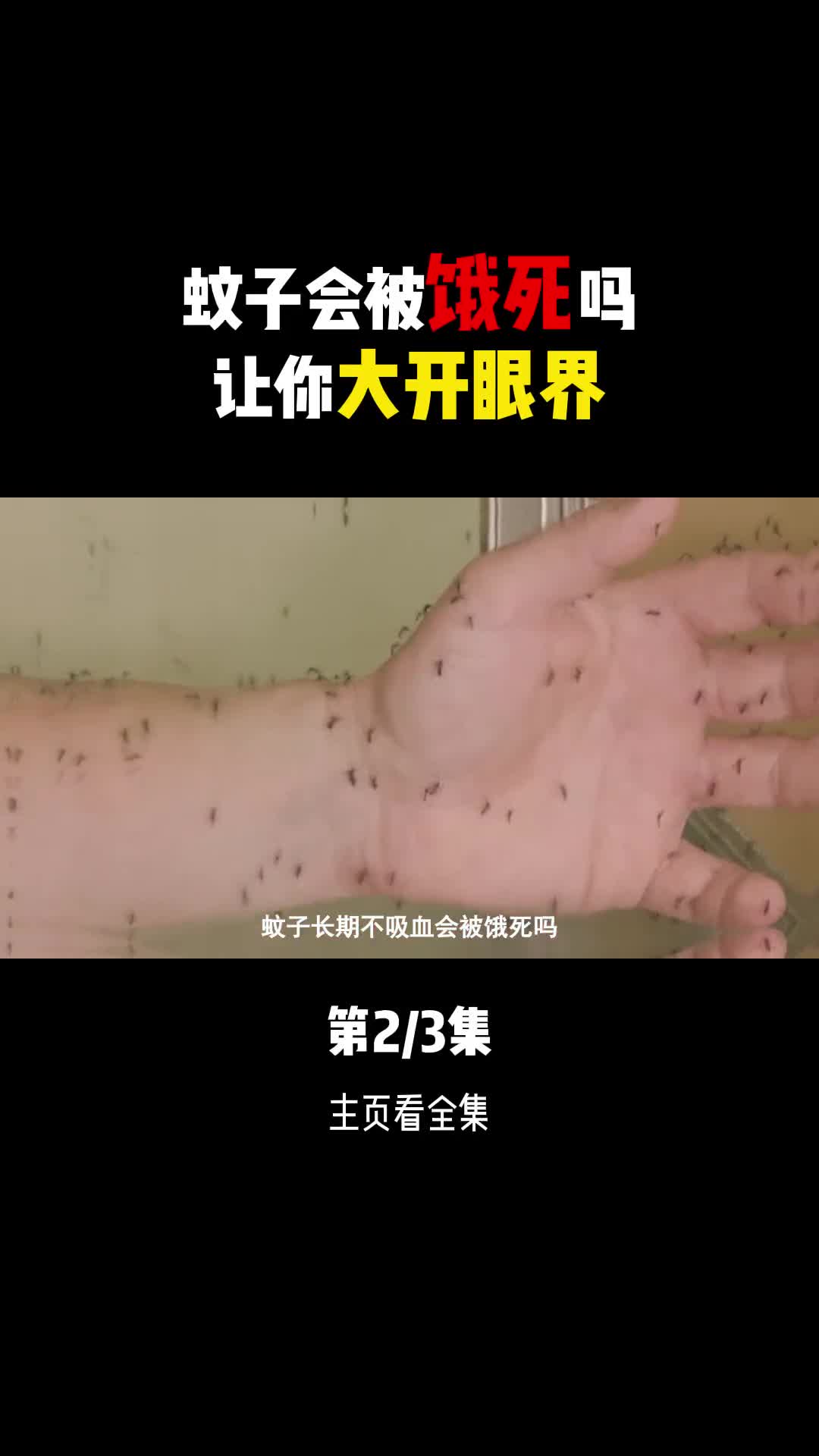 蚊子会被撑死和饿死吗假如把蚊子全部消灭掉对人类有影响吗