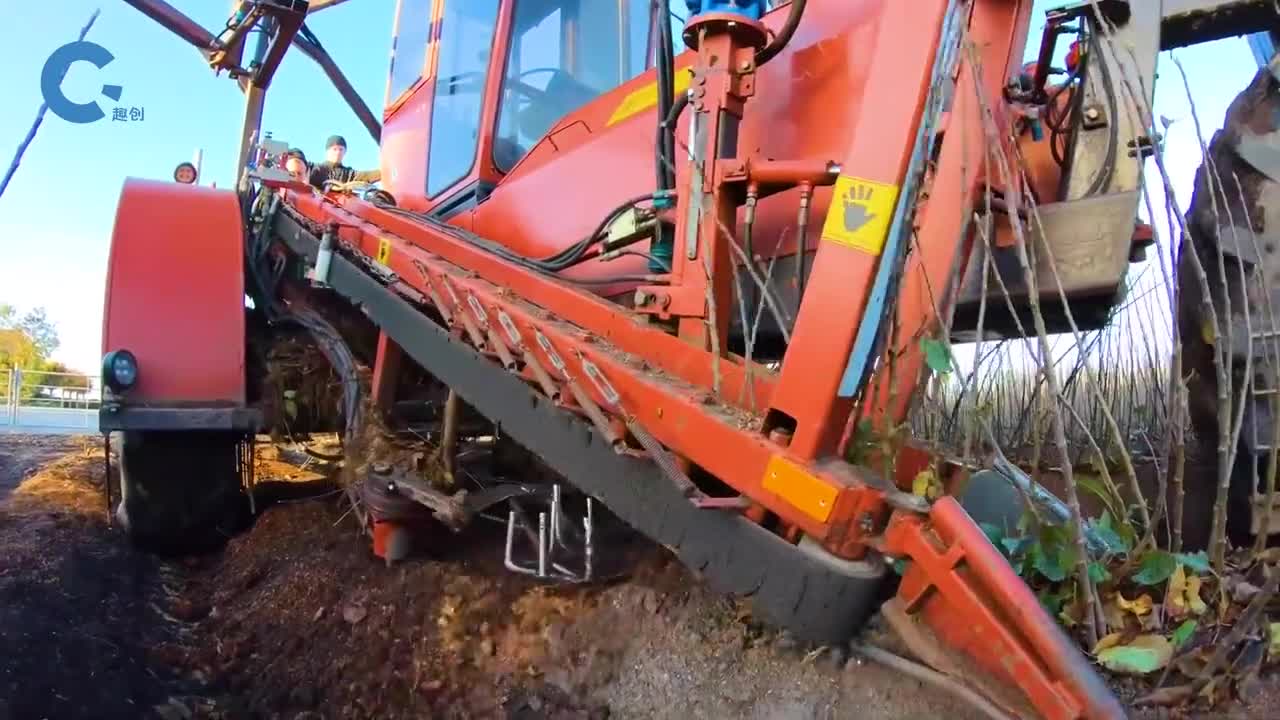 不可思议的砧木收割机把砧木成排的连根拔出来