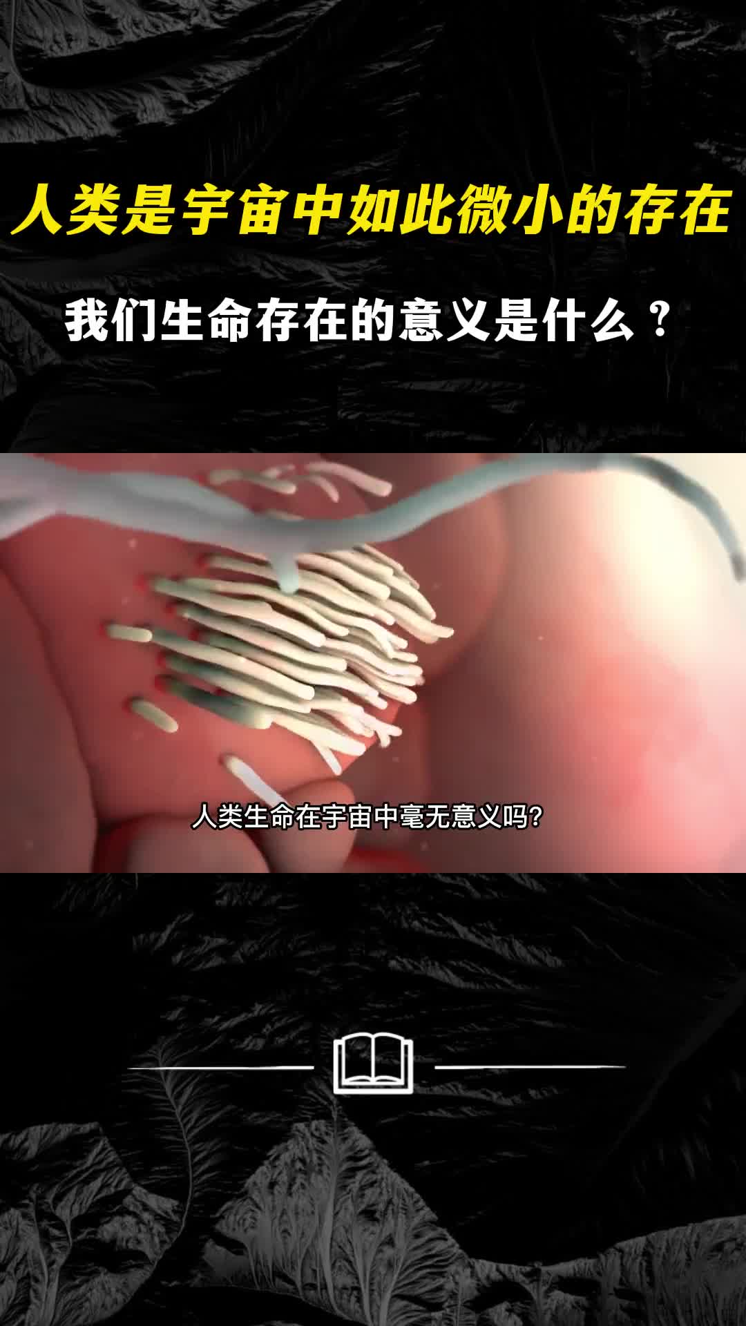 人类是宇宙中如此微小的存在我们生命存在的意义是什么