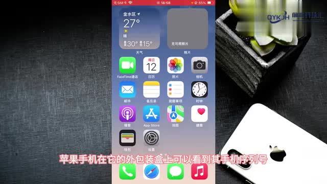 苹果如何查序列号