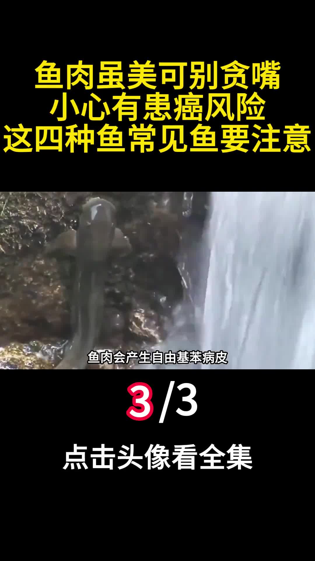 鱼肉虽美可别贪嘴小心有患癌风险这四种鱼常见鱼要注意3