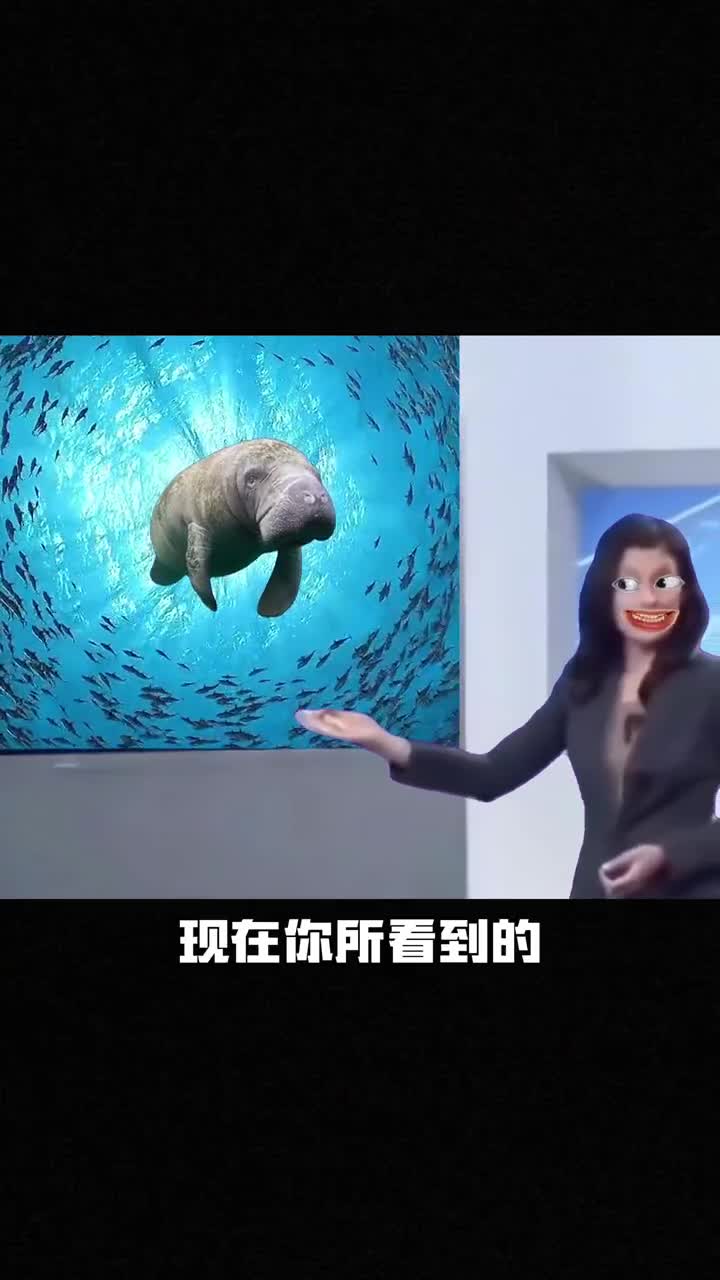 破防了家人们你竟然比河马还要胖