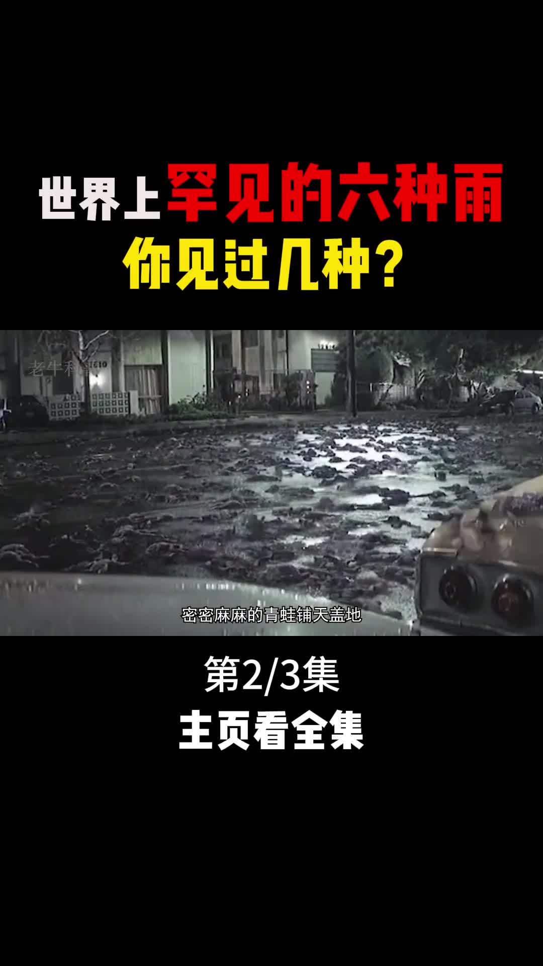 天上下青蛙下肉世界上罕见的六种雨你见过几种2