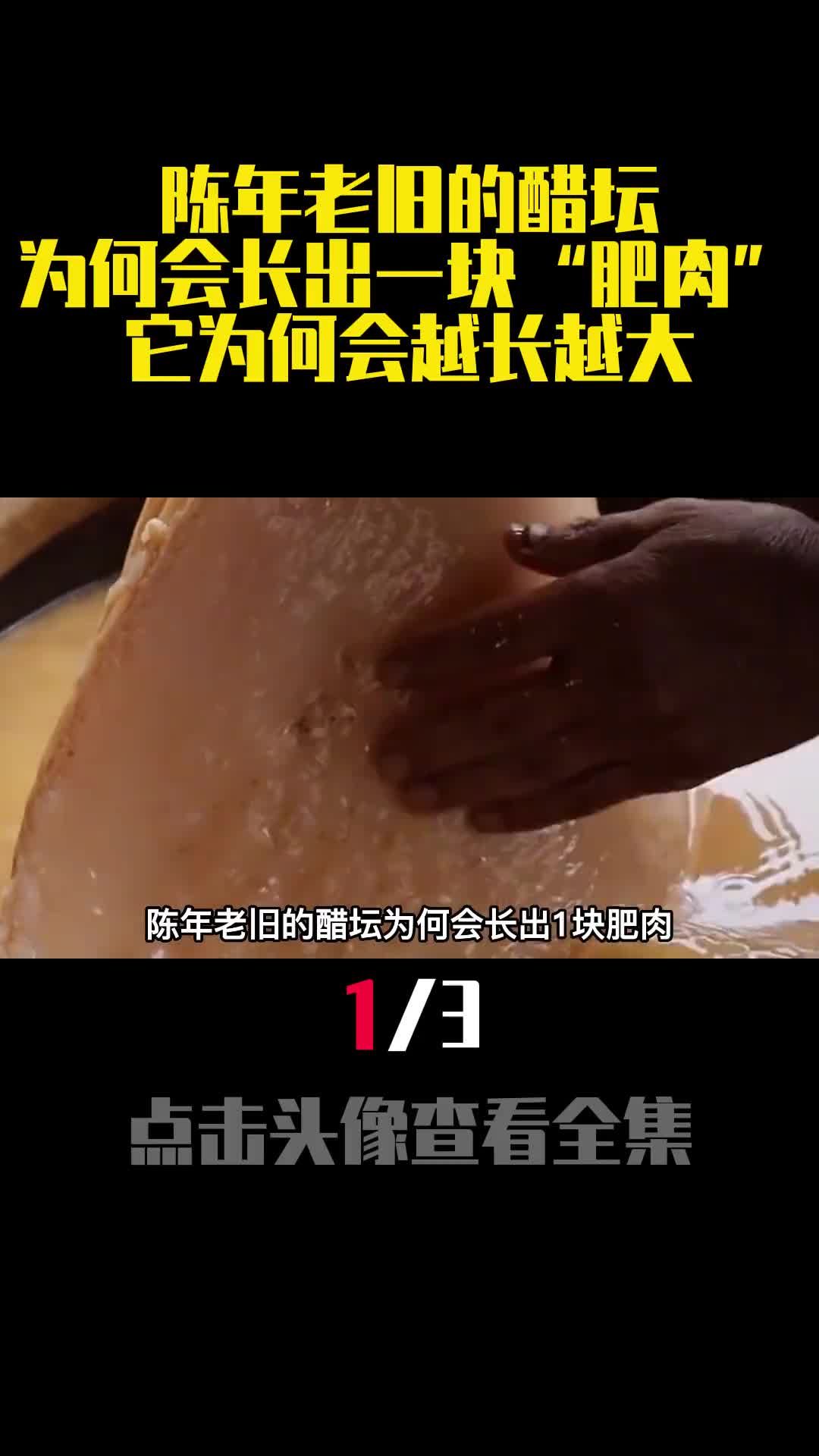 陈年老旧的醋坛为何会长出一块肥肉它为何会越长越大1