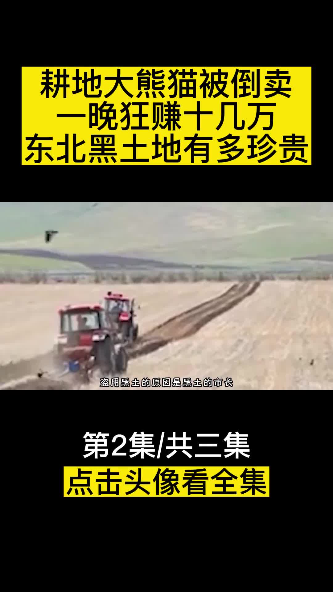 耕地大熊猫被倒卖一晚狂赚十几万东北黑土地有多珍贵