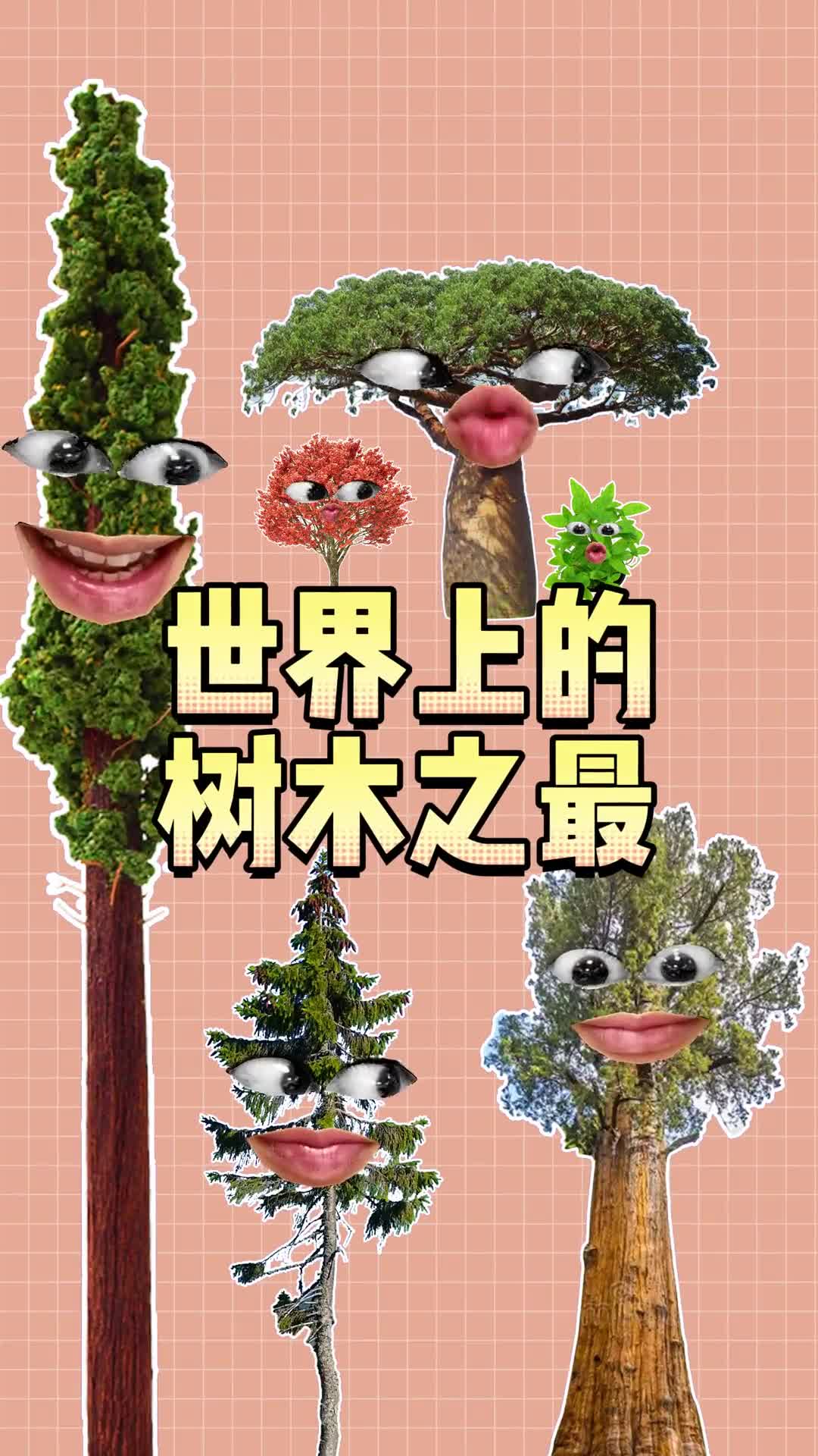 世界上的树木之最最后一种千万不要靠近哦