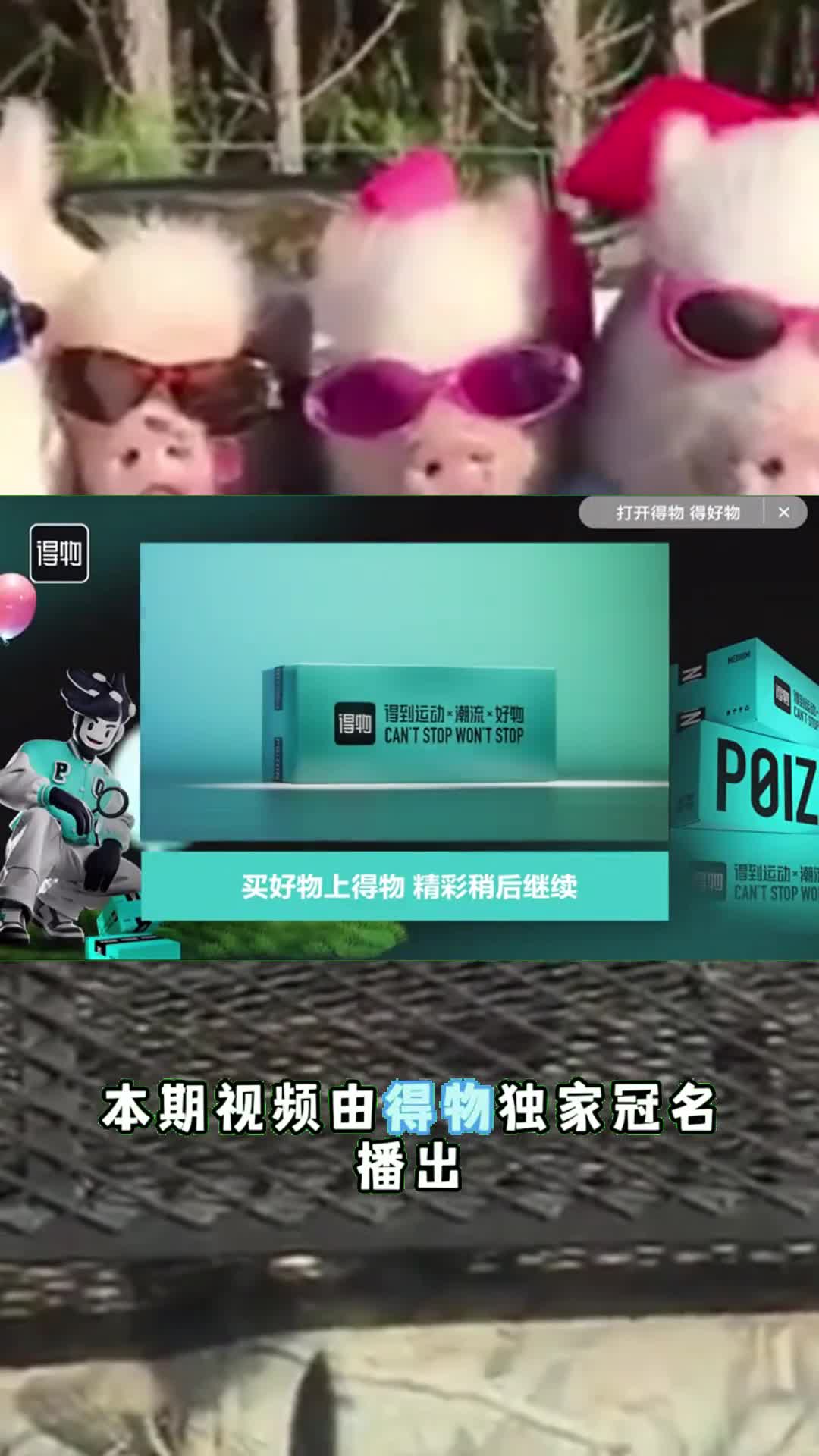 美国猪肉为何这么便宜一斤才卖4元看完养殖加工过程就明白3