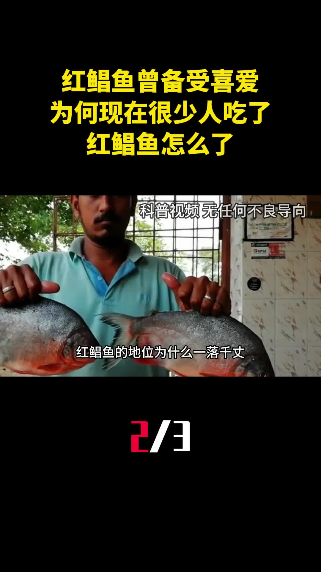 红鲳鱼曾备受南方人喜爱为什么现在很少人吃了红鲳鱼怎么了2