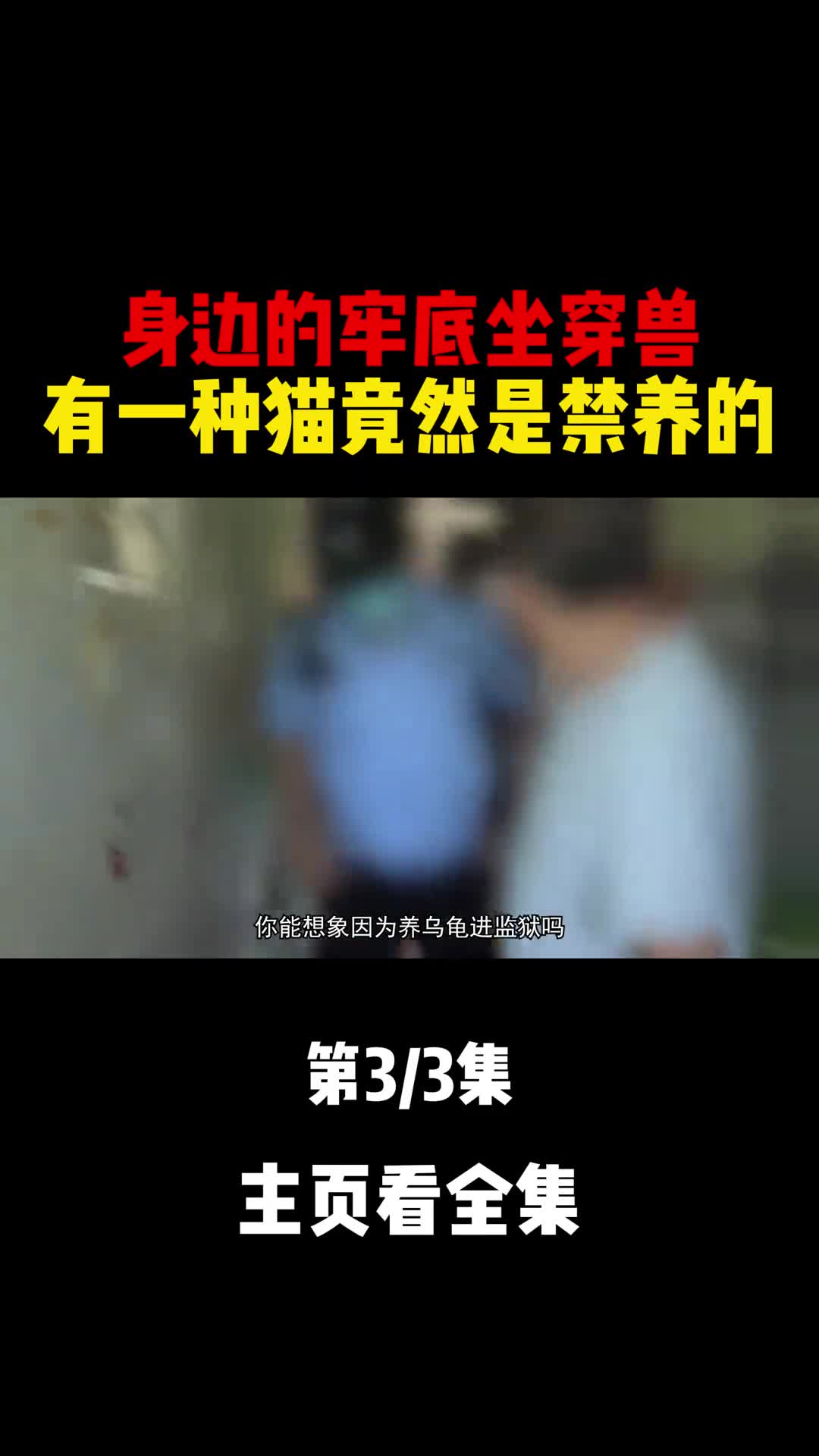 身边的牢底坐穿兽有一种猫竟然是禁养的