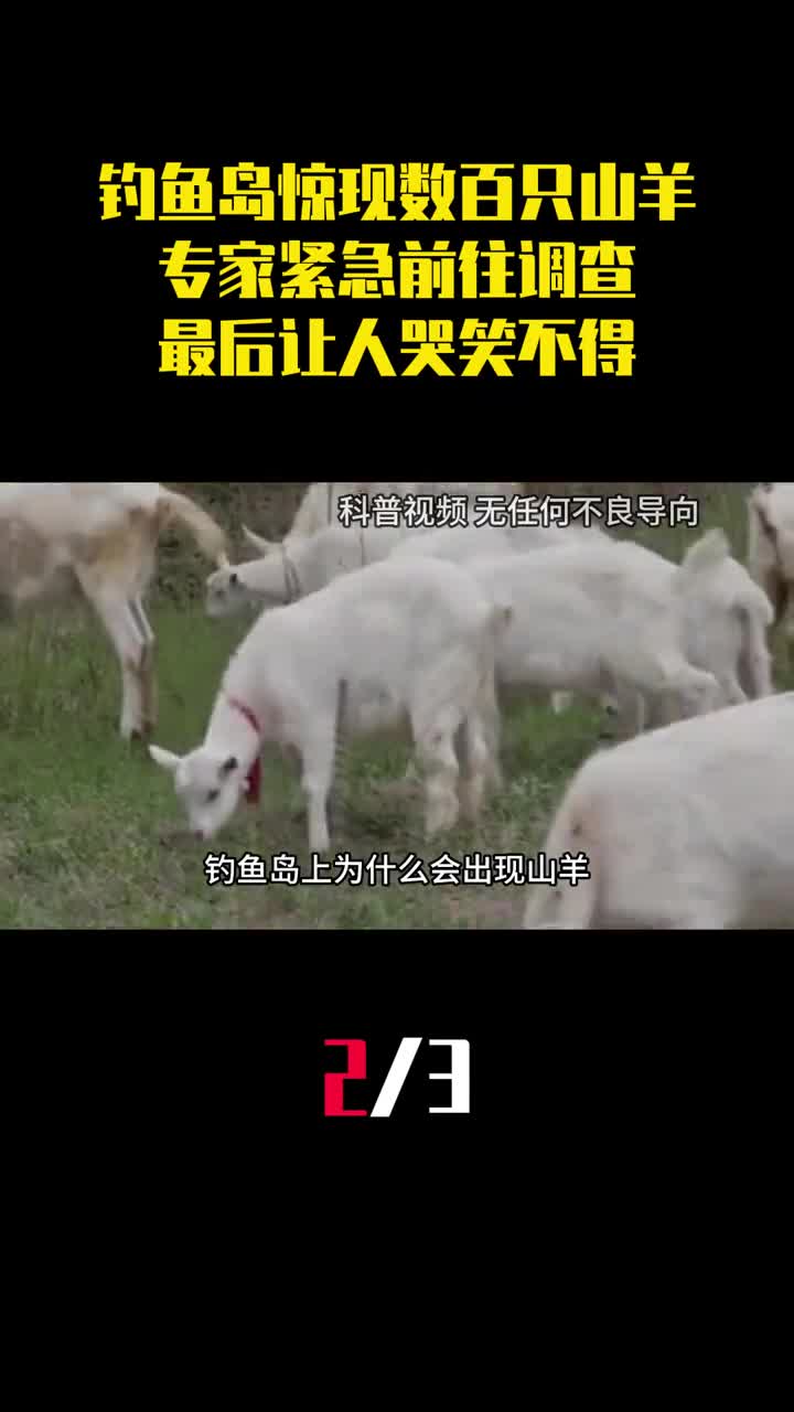 钓鱼岛惊现数百只山羊专家紧急前往调查最后让人哭笑不得2