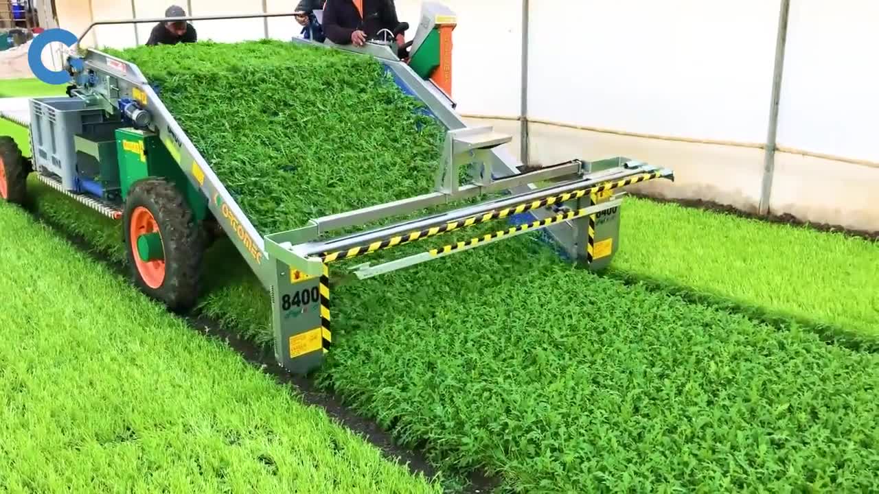 不可思议的菜叶收割机保留菜根只割菜叶