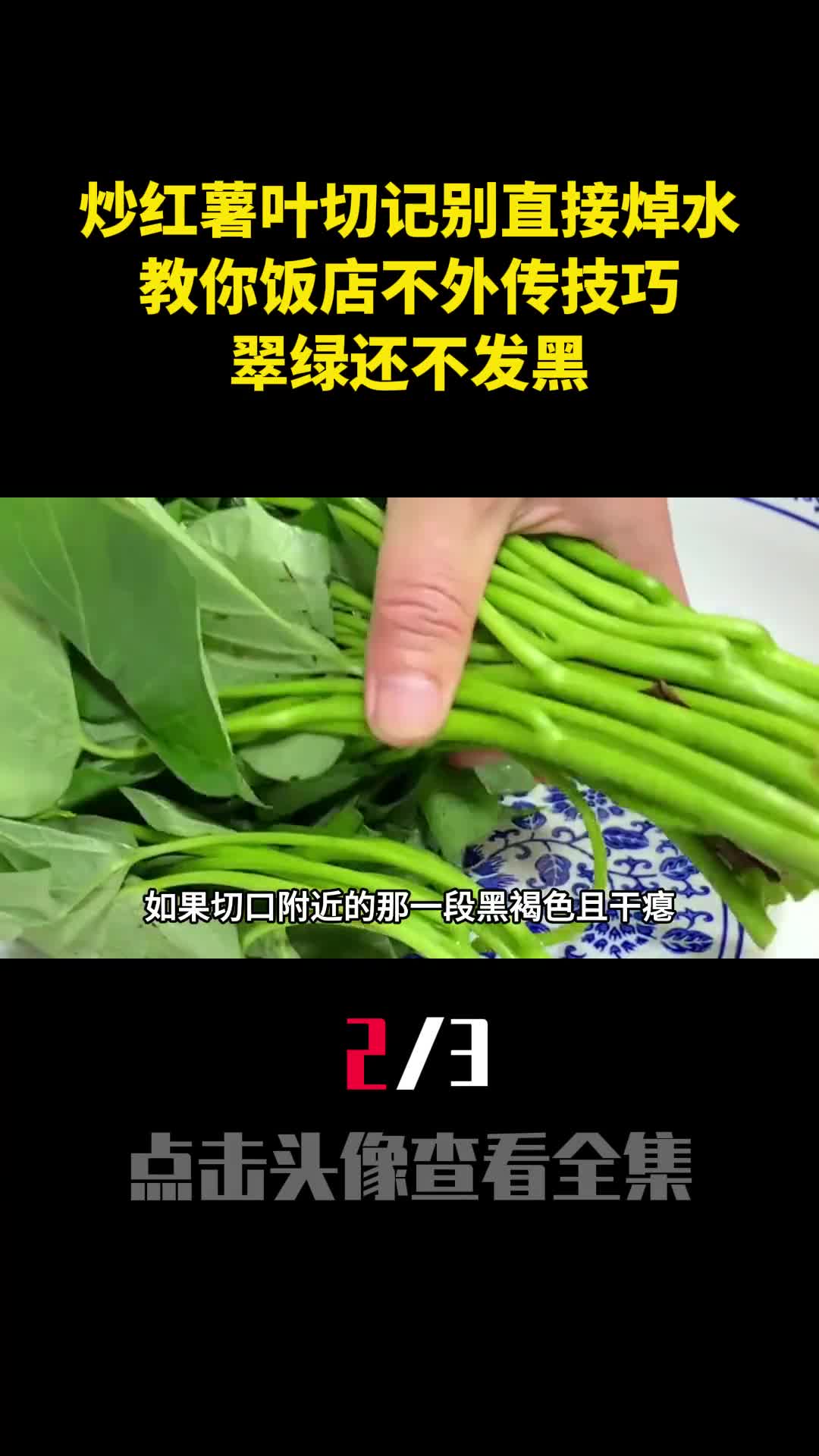 炒红薯叶切记别直接焯水教你饭店不外传技巧翠绿还不发黑2