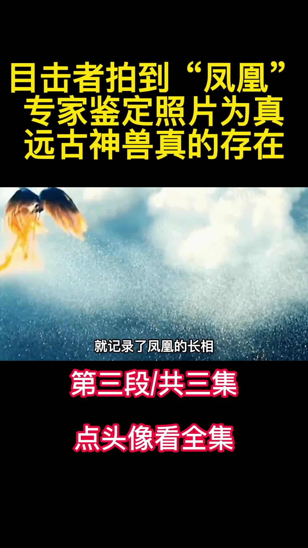 目击者拍到凤凰专家鉴定照片为真远古神兽真的存在3