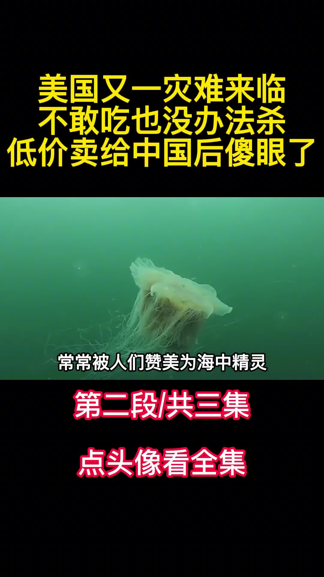 美国又一灾难来临不敢吃也没办法杀低价卖给中国后傻眼了2