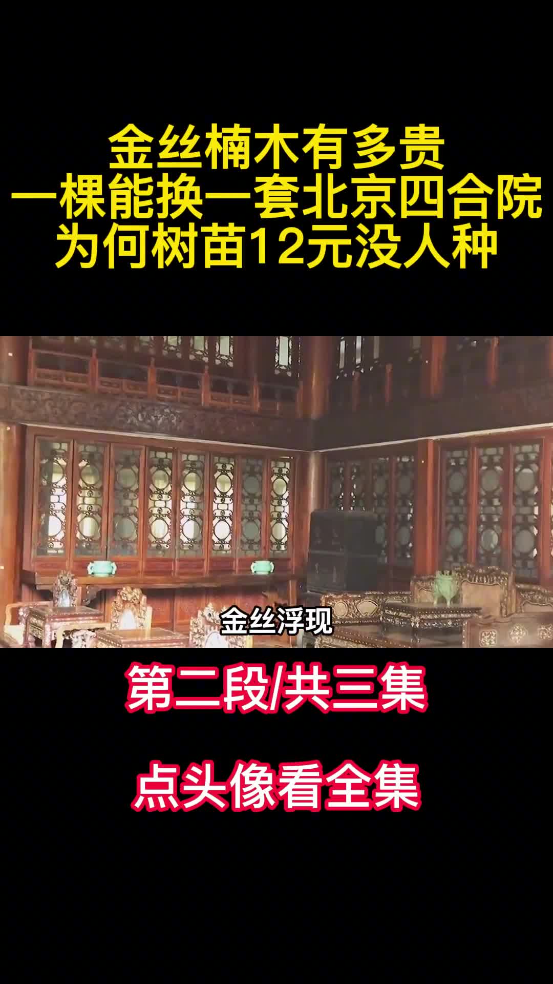 金丝楠木有多贵一棵能换一套北京四合院为何树苗12元没人种2