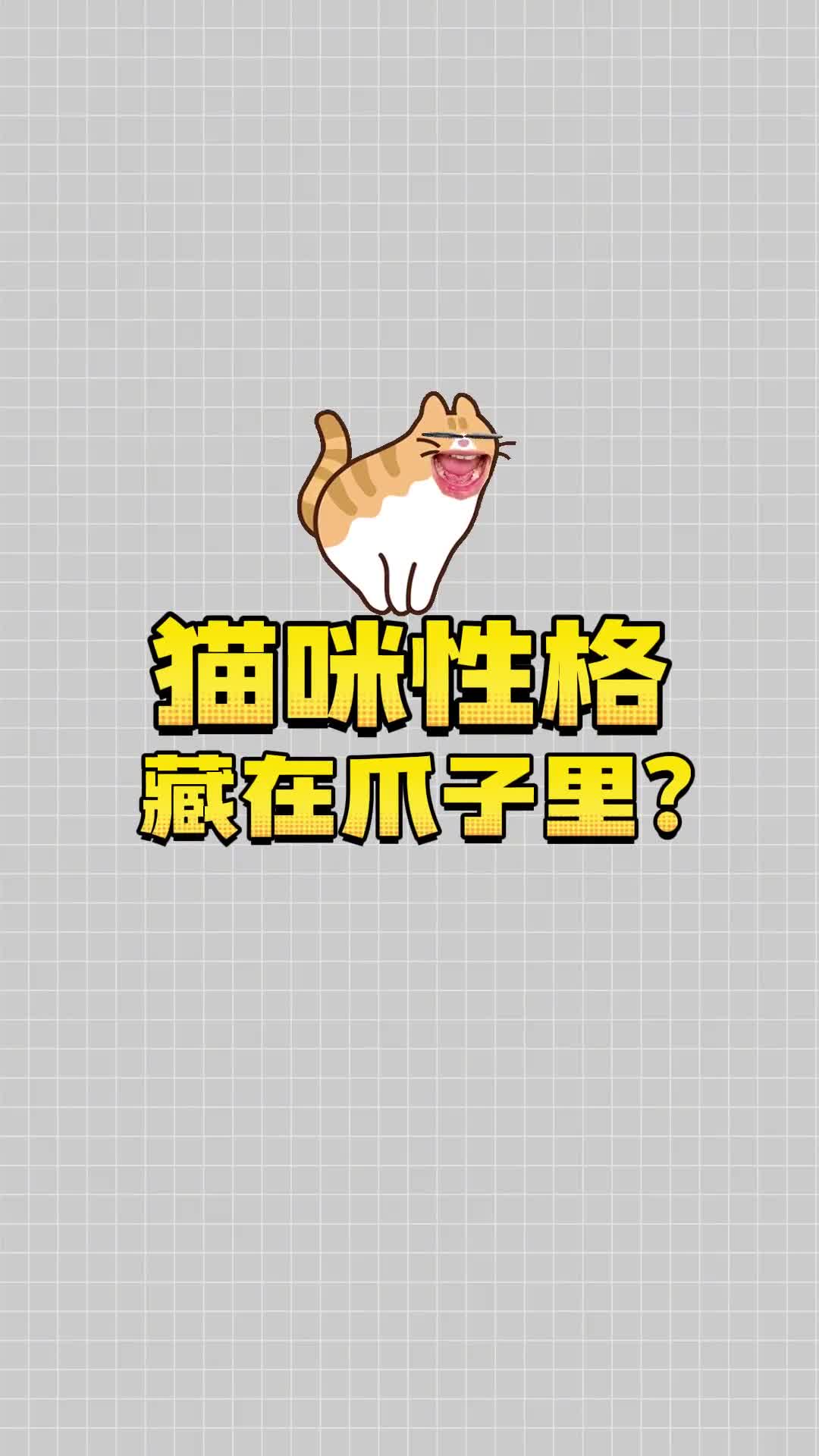 想知道猫咪的性格看爪子就知道了