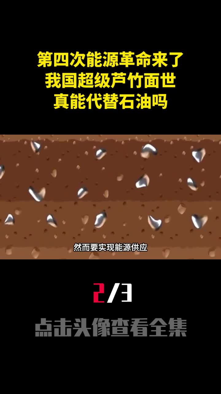 第四次能源革命来了我国超级芦竹面世真能代替石油吗2