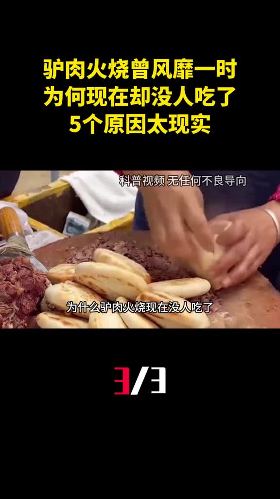 驴肉火烧曾经风靡一时为何现在却没人吃了5个原因太现实3