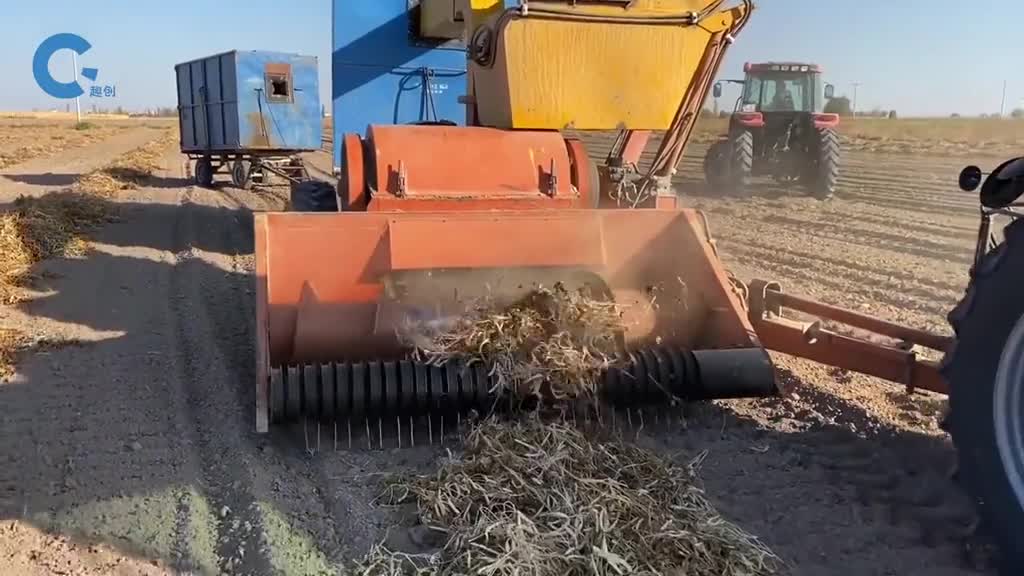 不可思议的白芸豆收割机将藤蔓卷入机器中打碎