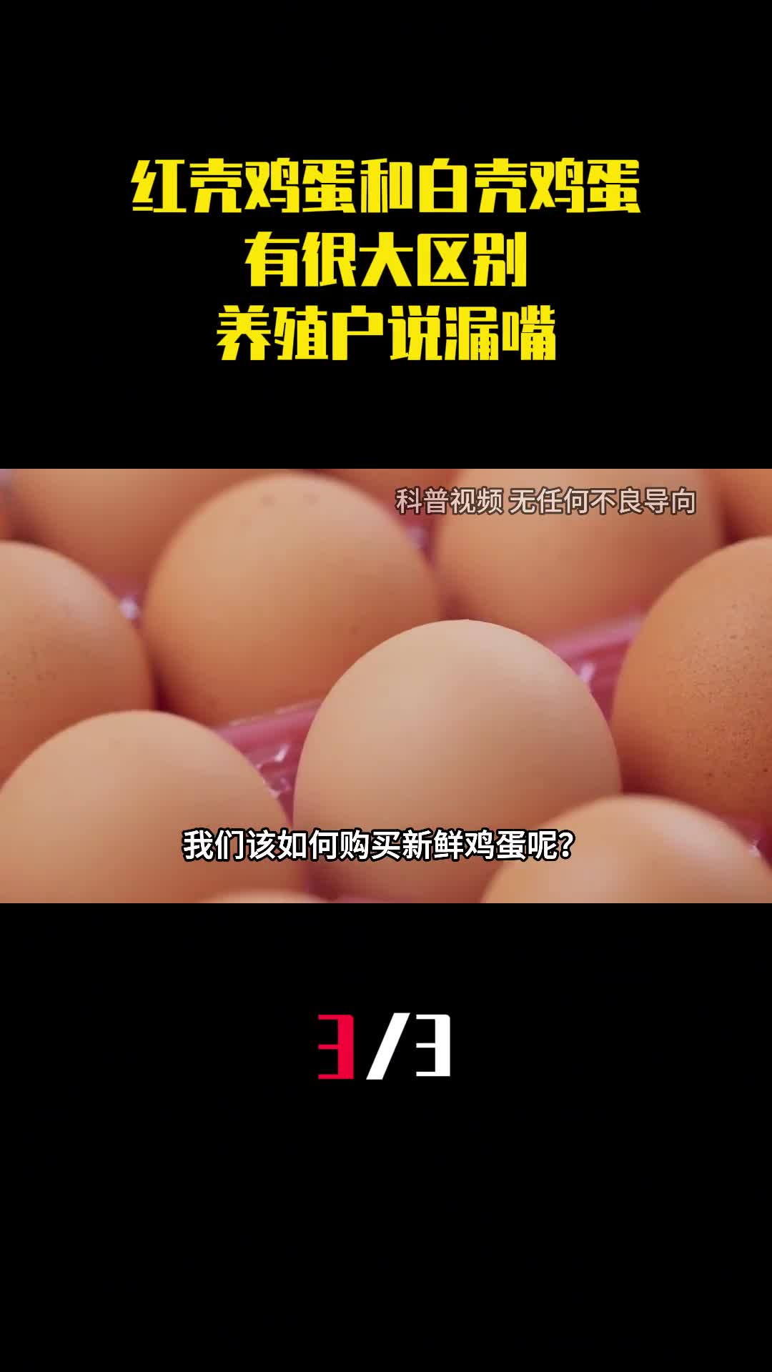 红壳鸡蛋和白壳鸡蛋有很大区别养殖户说漏嘴以后别再买错了3