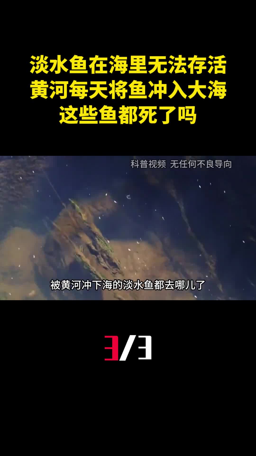 淡水鱼在海里无法存活黄河每天将鱼冲入大海这些鱼都死了吗3