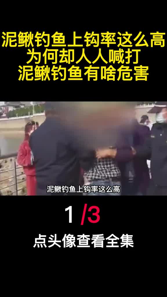 泥鳅钓鱼上钩率这么高为何却人人喊打泥鳅钓鱼有啥危害1
