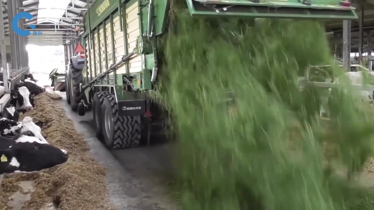 两台机器在草场上行驶一遍牛就喂饱了