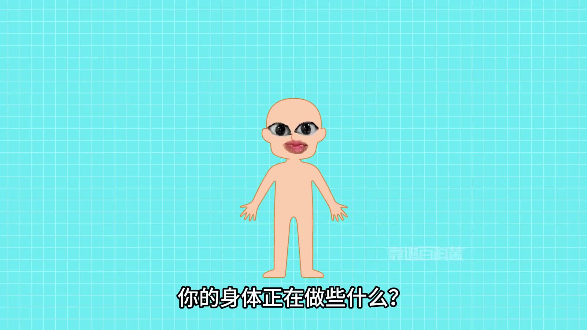 1分钟告诉你人体的一分钟