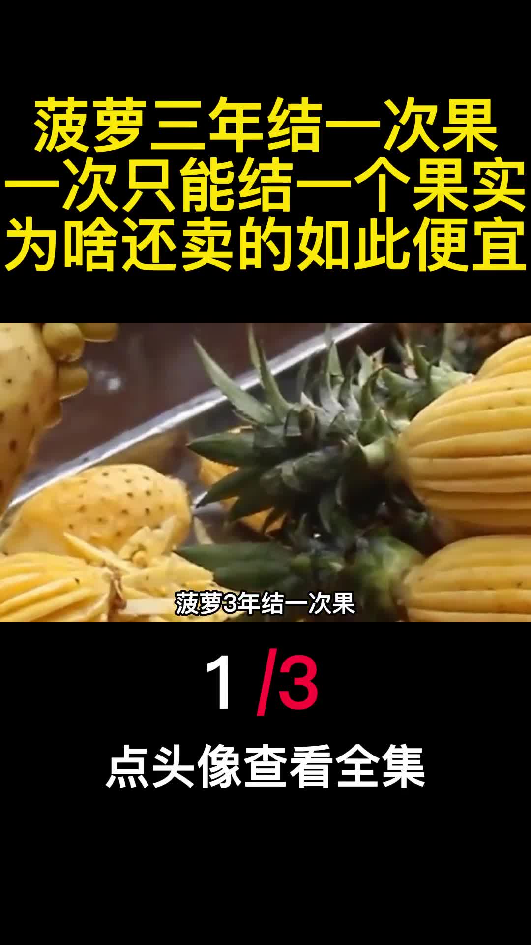 菠萝三年结一次果一次只能结一个果实为啥还卖的如此便宜1