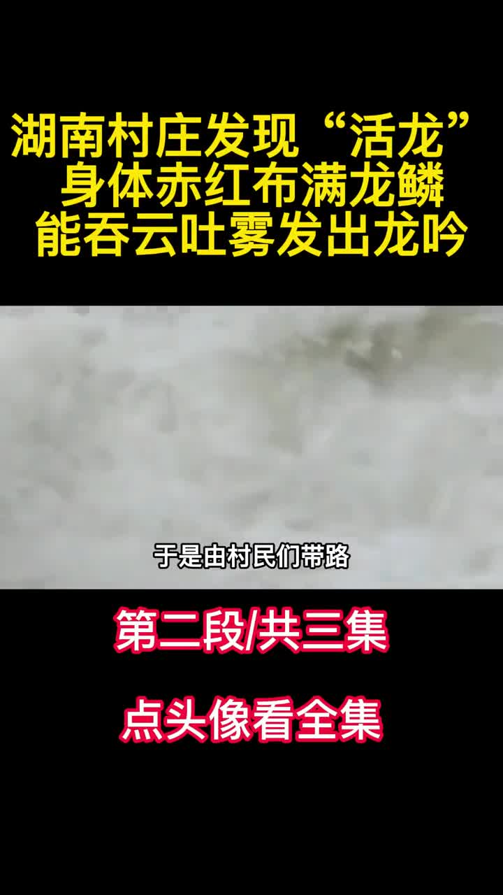湖南村庄发现活龙身体赤红布满龙鳞能吞云吐雾发出龙吟2