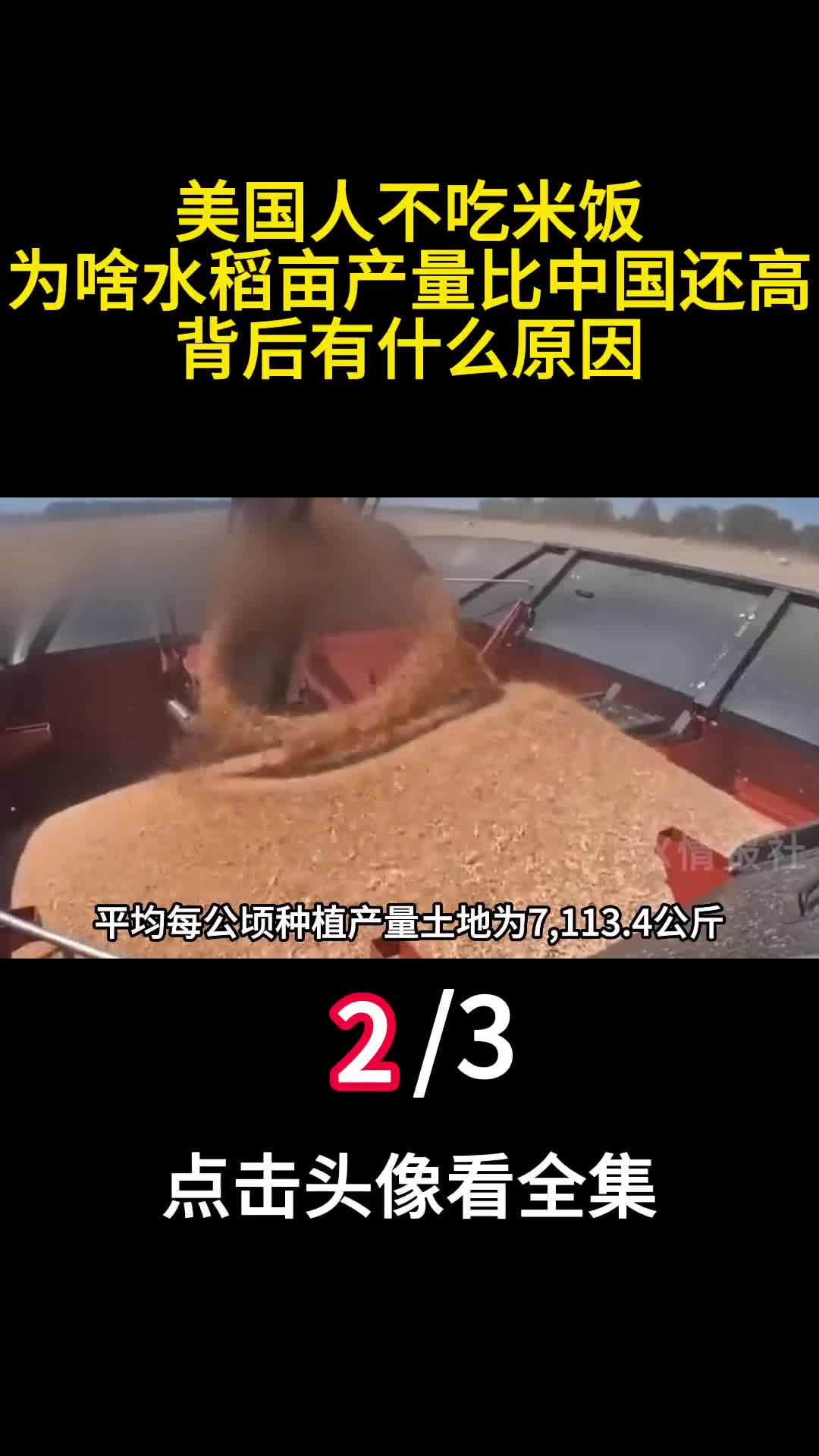 美国人不吃米饭为啥水稻亩产量比中国还高背后有什么原因2