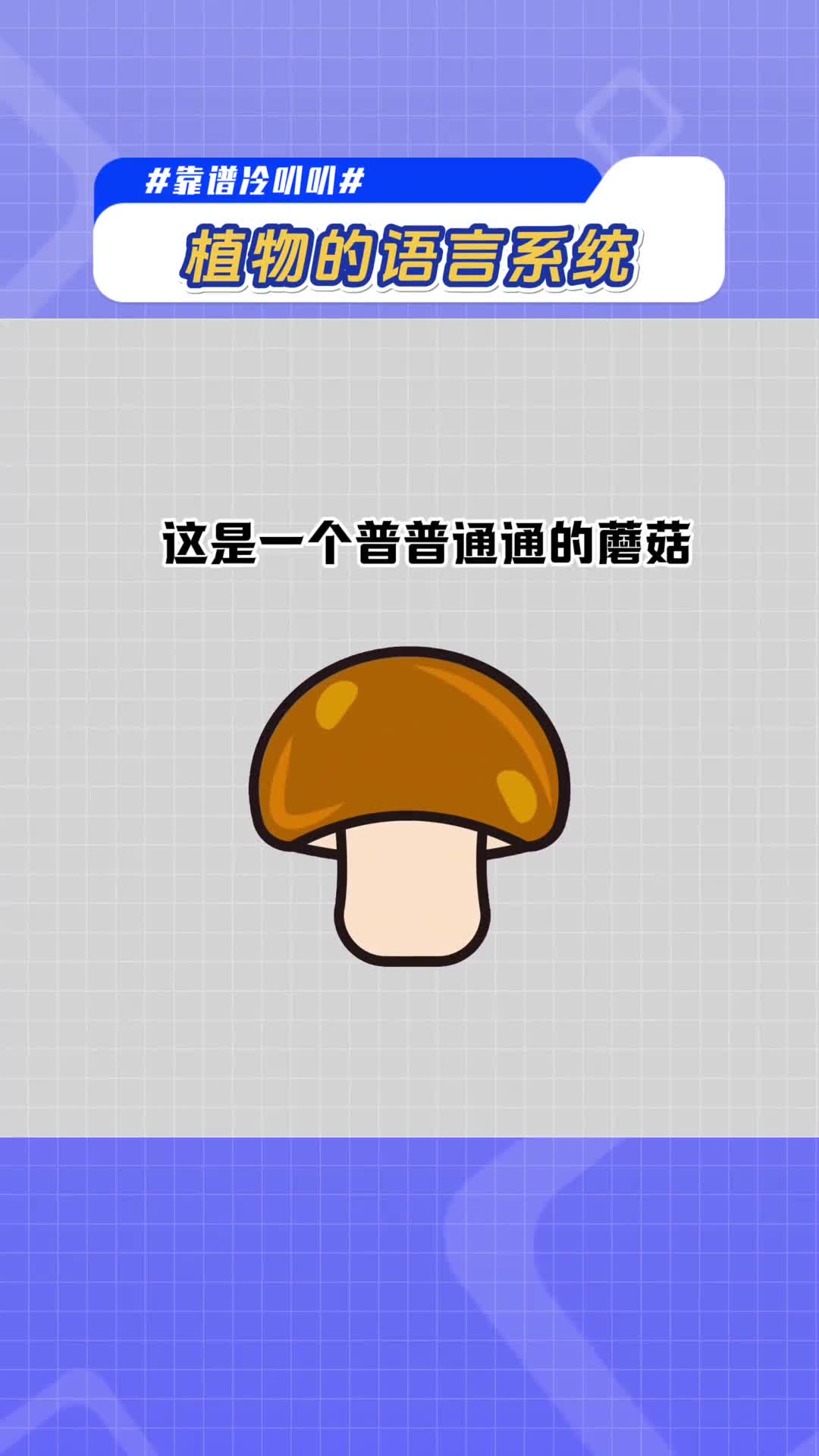 下次吃蘑菇时想想它会对你说些啥
