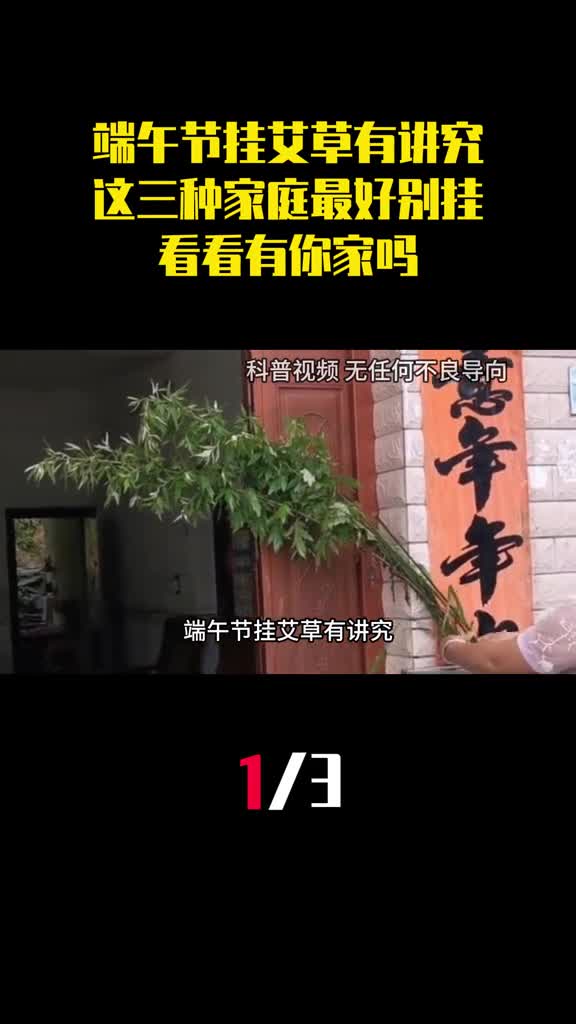 端午节挂艾草有讲究这三种家庭最好不要挂看看有你家吗1