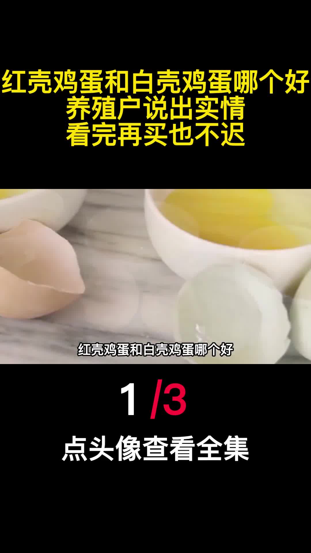 红壳鸡蛋和白壳鸡蛋哪个好养殖户说出实情看完再买也不迟1