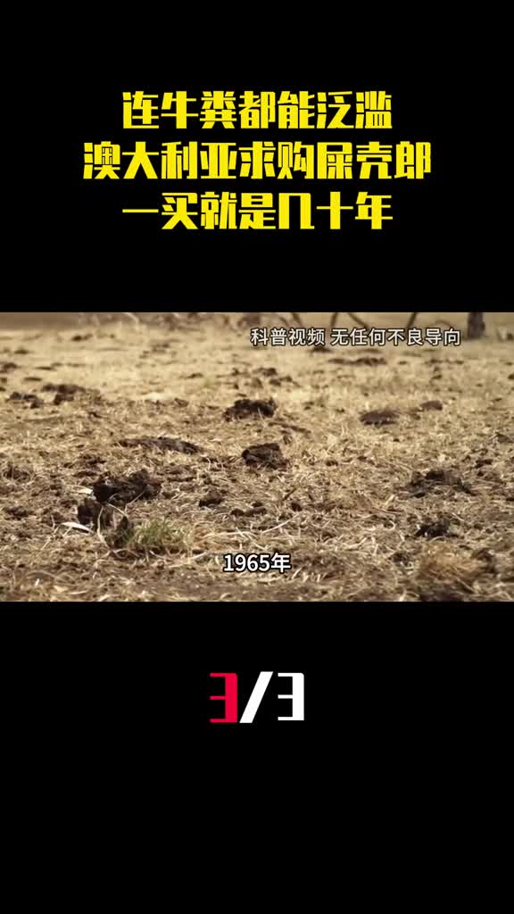 连牛粪都能泛滥澳大利亚全世界求购屎壳郎一买就是几十年3