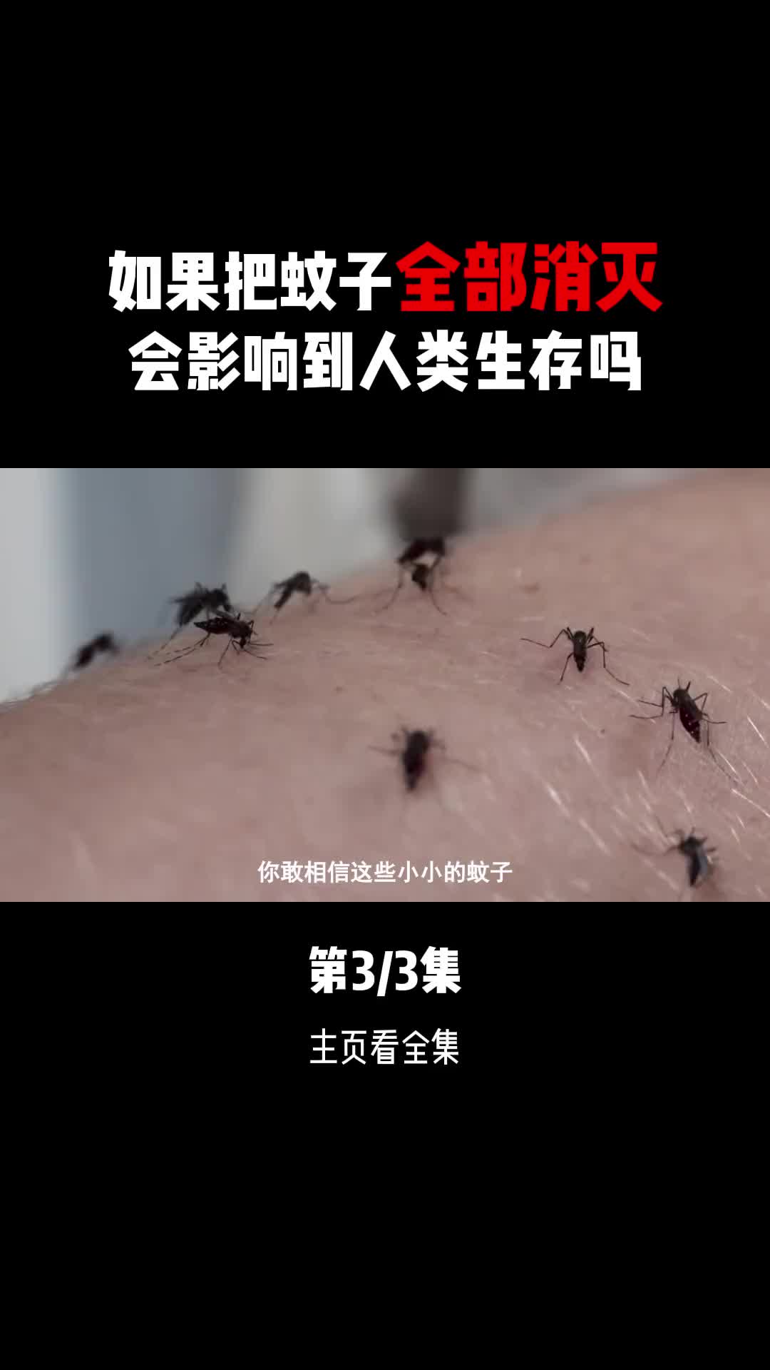 蚊子会被撑死和饿死吗假如把蚊子全部消灭掉对人类有影响吗