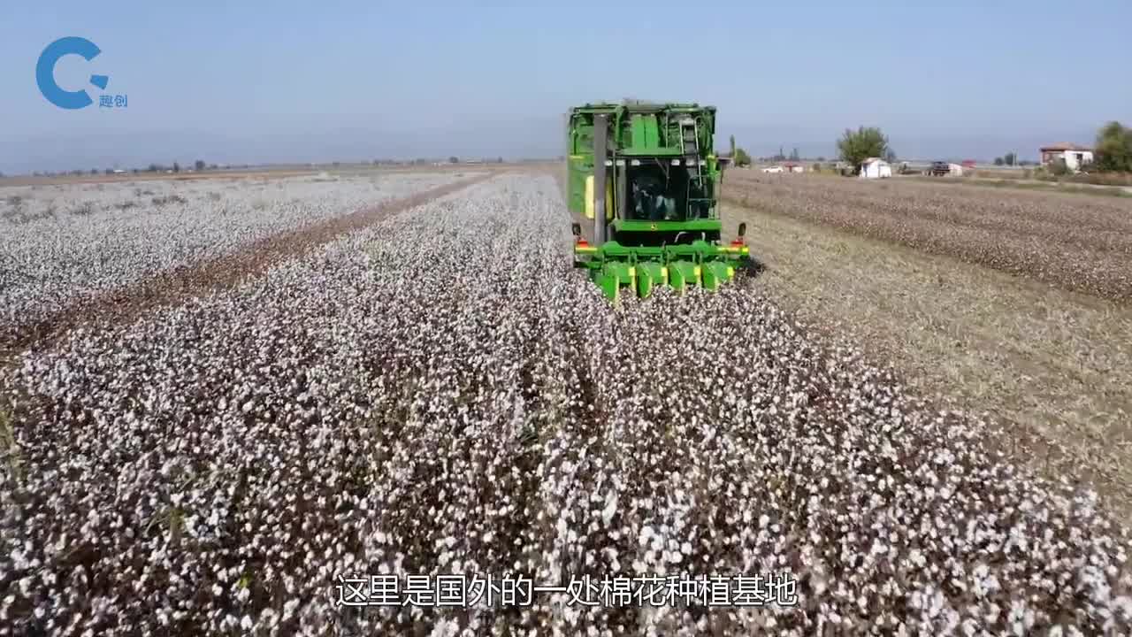 不可思议的棉花收割机能把棉花从壳里扯出来