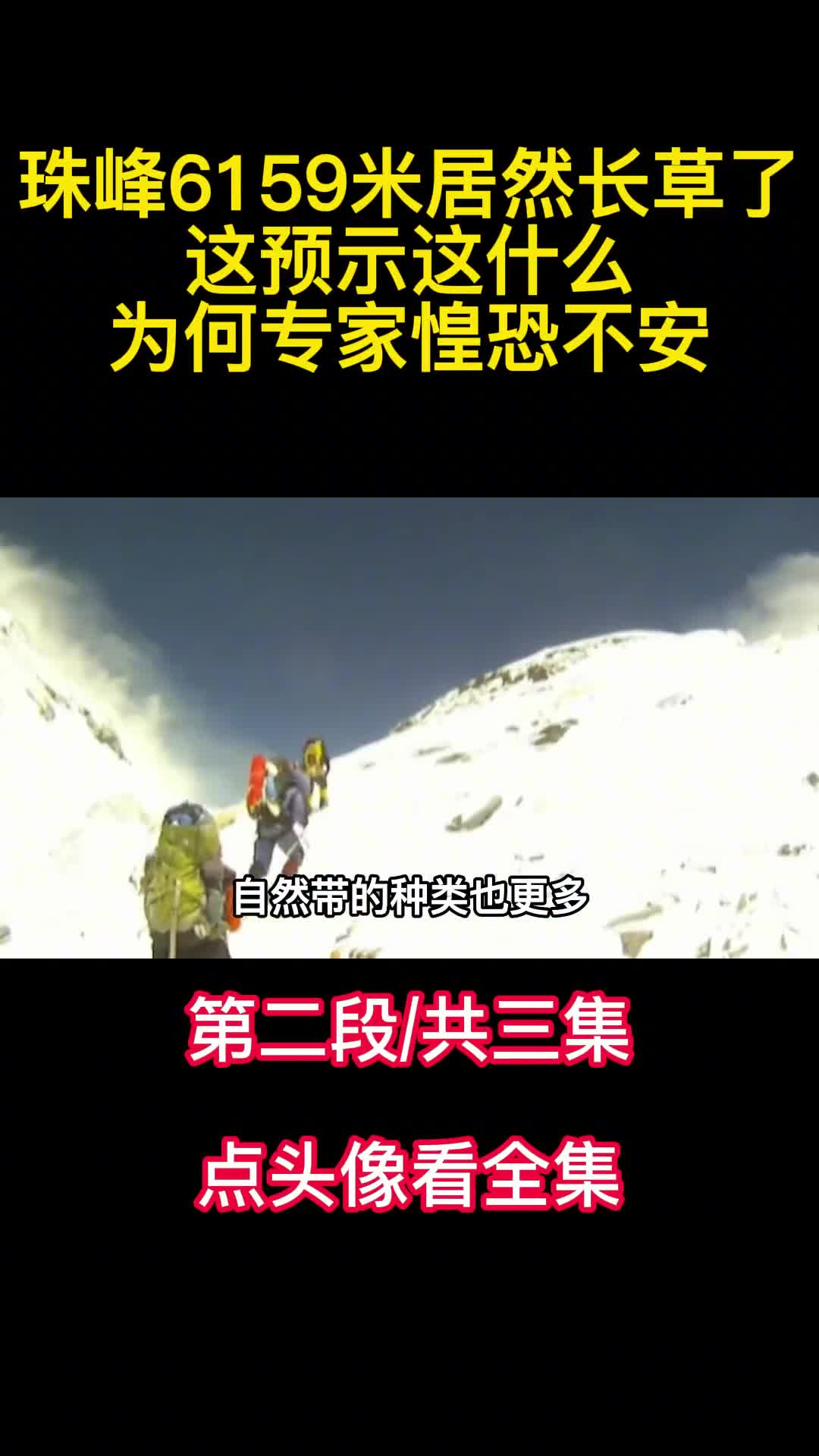 珠峰6159米居然长草了这预示这什么为何专家惶恐不安2