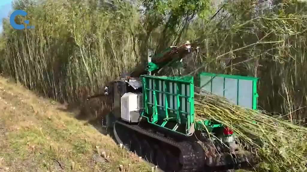 不可思议的柳树收割机一小时收割2000棵柳树
