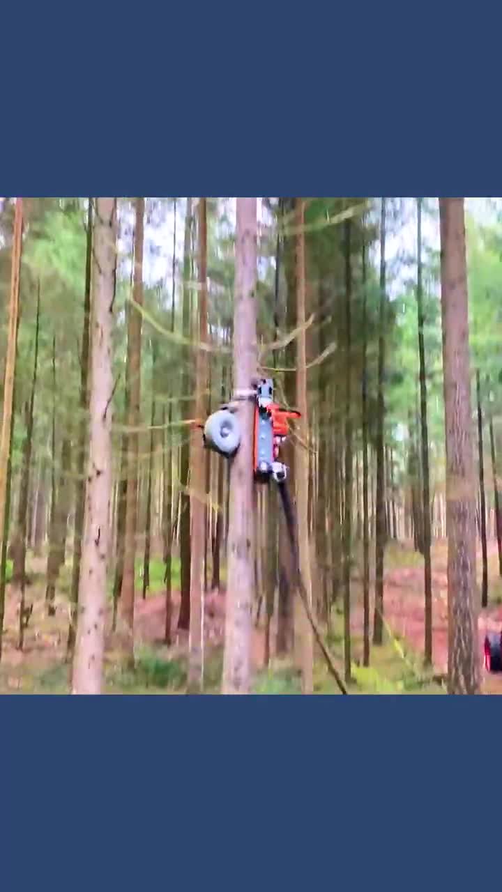 不可思议的树枝修剪机抱紧树干快速向上爬升清理沿途杂乱树枝