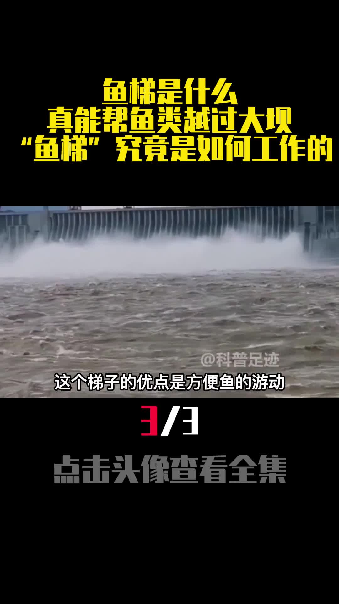 鱼梯是什么真能帮鱼类越过大坝鱼梯究竟是如何工作的3