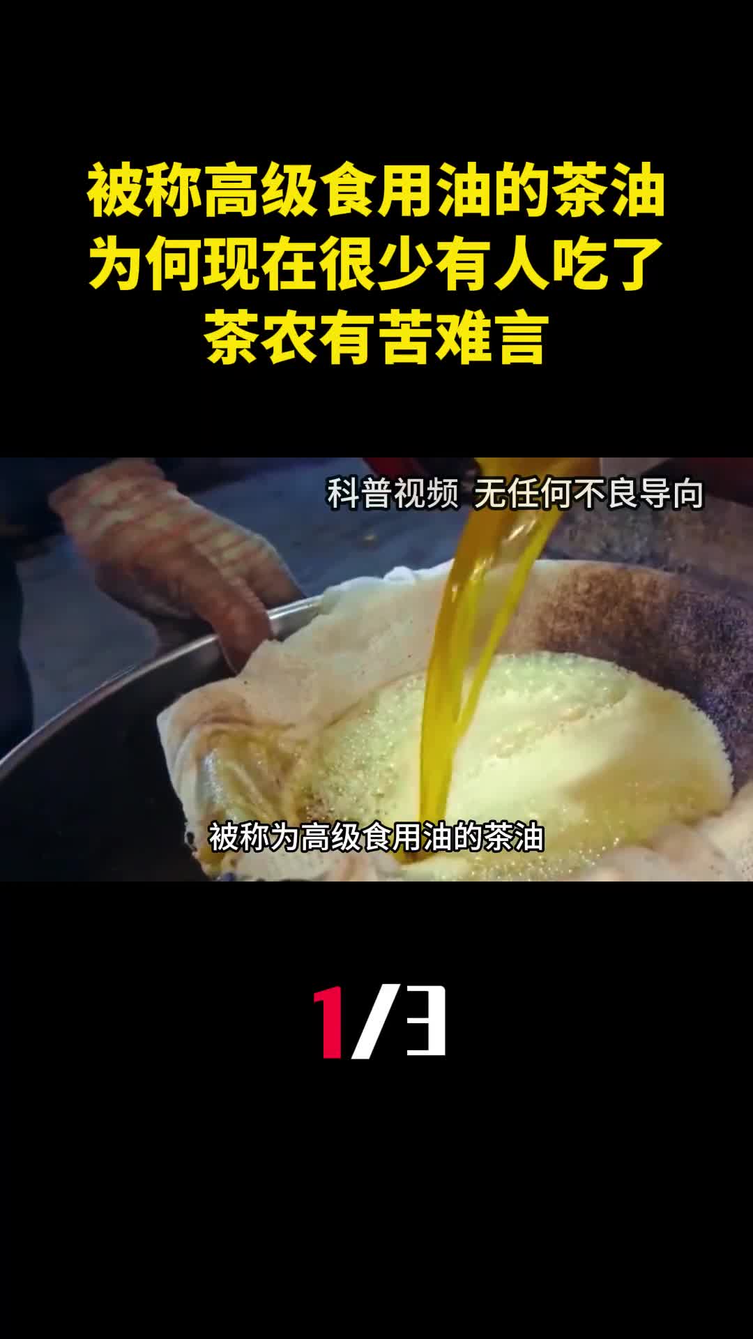 被称为高级食用油的茶油为何现在很少有人吃了茶农有苦难言1